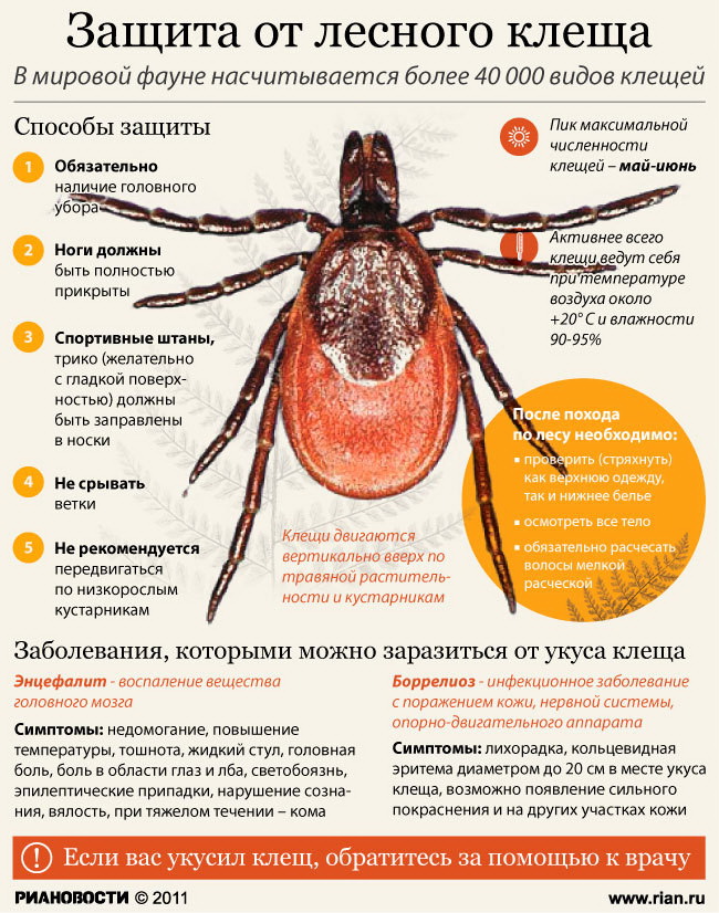 Клещевые инфекции презентация