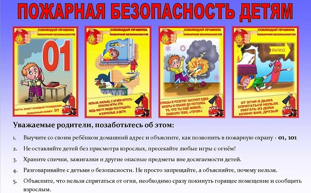 fotogr 202328 4