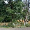 Субботник 02.07.2025