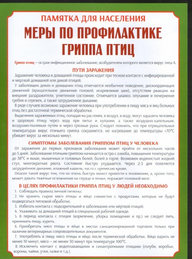pam ptuch gripp 20220830 2