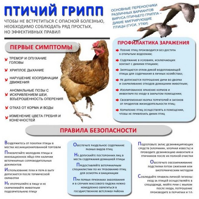 pam ptuch gripp 20220830 5
