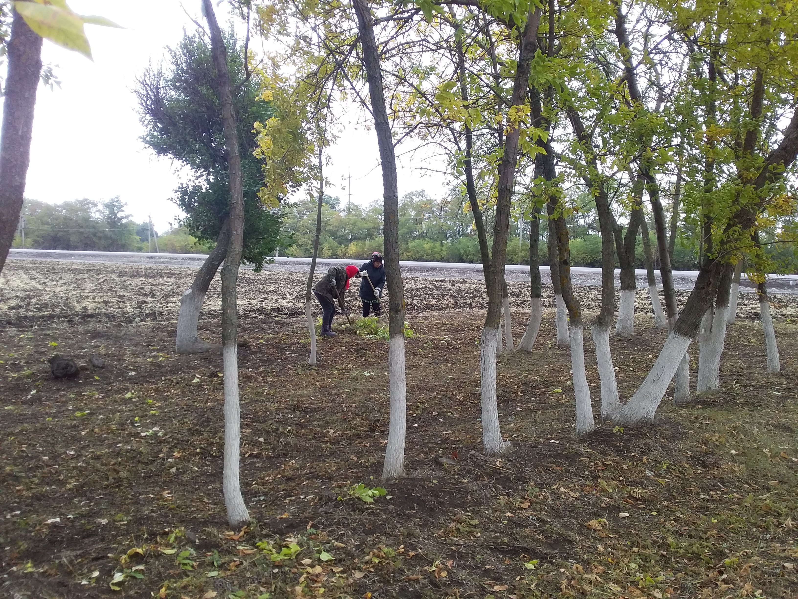20220915 105149