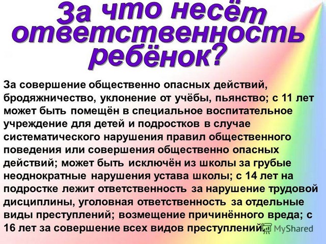 pamytki 20230214 2