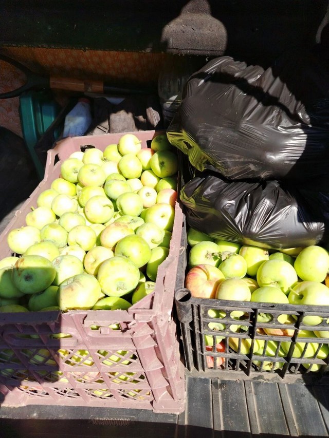 photo 01 08 2025 04