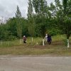 24.06.2025 провели очередной субботник